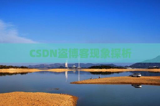 CSDN盗博客现象探析 CSDN盗博客现象探析